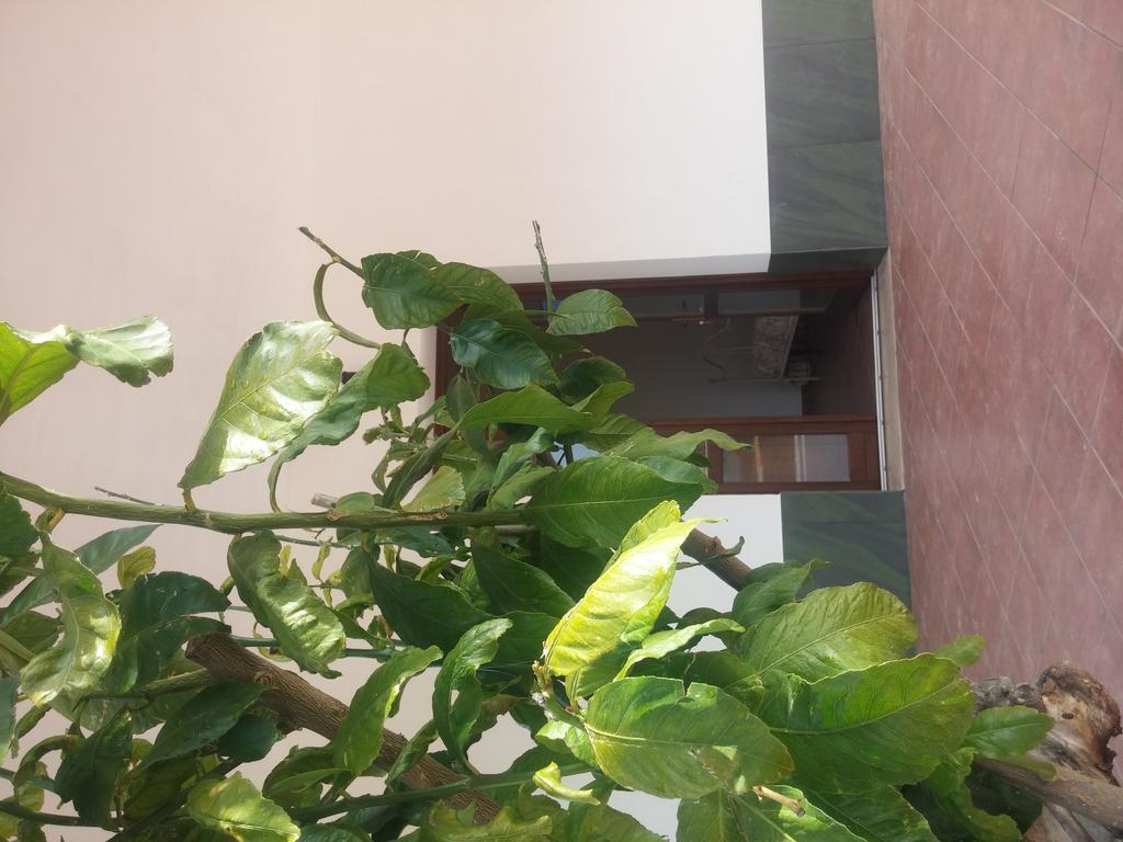 Vakantieboerderij Segesta Antichi Sapori Calatafimi